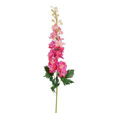 Delphinium fuchsia - l78cm