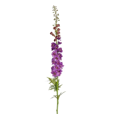Delphinium paars - l135cm