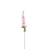 Delphinium roze - l78cm