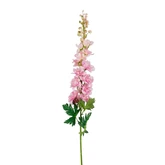 Delphinium roze - l78cm