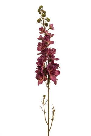 Delphinium spray beauty 87cm