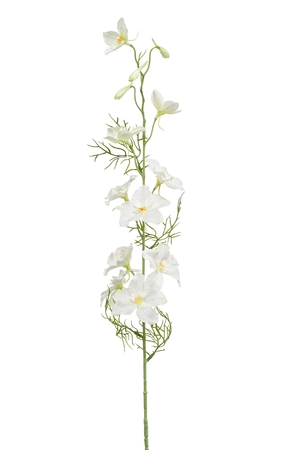 Delphinium spray cream 88cm