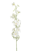Delphinium spray cream 88cm