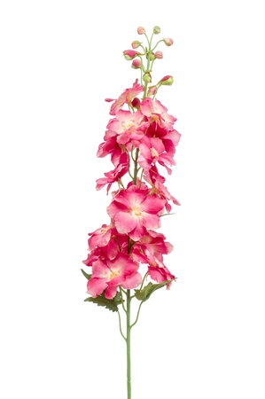 Delphinium spray pink 95cm