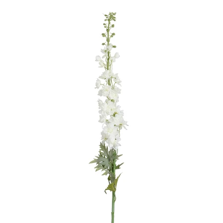 Delphinium wit - l135cm