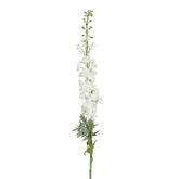 Delphinium wit - l135cm