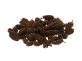 Dennenappel Berk 30g Naturel