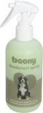 Spray deodorant 250ml