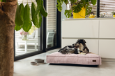Designed by Lotte hondenkussen Ribbed Roze 70 x 55 cm - afbeelding 6