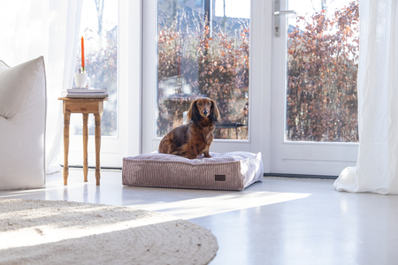 Designed by Lotte hondenkussen Ribbed Roze 70 x 55 cm - afbeelding 7