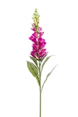 Digitalis spray fuchsia 92cm