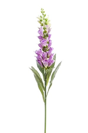 Digitalis spray lt purple 92cm