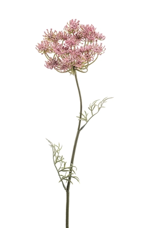 Dill spray pink 67cm