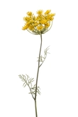 Dille Tak Zijde - 67cm Geel