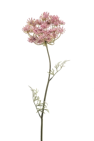 Dille Tak Zijde - 67cm Roze