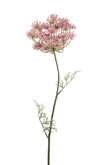 Dille Tak Zijde - 67cm Roze