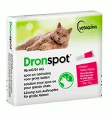 Dronspot grote kat 2pip