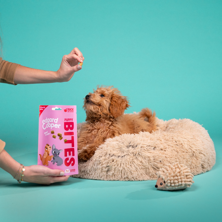Edgard&Cooper bite puppy S duck&chicken 120gr - afbeelding 4