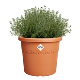 Elho algarve cilindro 25cm terra - afbeelding 2