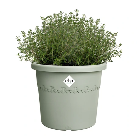 Elho algarve cilindro 25cm tijmgroen - afbeelding 2