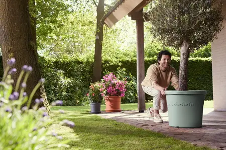 Elho algarve cilindro 58cm tijmgroen - afbeelding 5