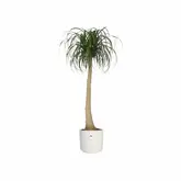 Elho b.for soft rond 14cm - afbeelding 3