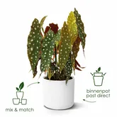 Elho b.for soft rond 14cm wit - afbeelding 3