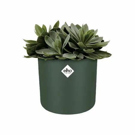 Elho b.for soft rond 18cm - afbeelding 3