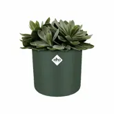 Elho b.for soft rond 18cm - afbeelding 3