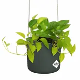 Elho B.for Swing 18 cm Groen - afbeelding 3