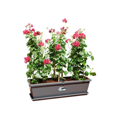 Elho barcelona xl schotel 80cm antraciet - afbeelding 2