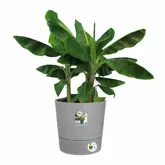 Elho Bloempot Greensense Aqua Care rond 43cm grijs - afbeelding 3