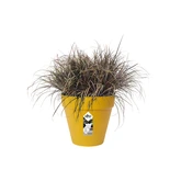 elho bloempot loft urban rond d25 h22cm Oker - afbeelding 6