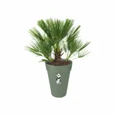 Elho Bloempot Loft Urban rond Hoog 35cm groen - afbeelding 3