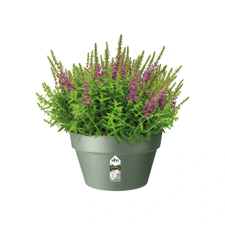 elho bloempot loft urban schaal d35 h20cm Pistachegroen - afbeelding 5