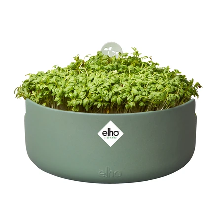 elho bloempot magic microgreens d17 h7cm Blad groen - afbeelding 7