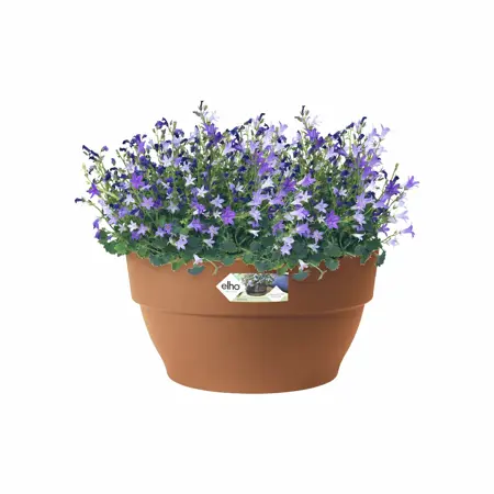 Elho Bloempot Vibia Campana 34cm bruin - afbeelding 3