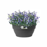 Elho Bloempot Vibia Campana 34cm grijs - afbeelding 3