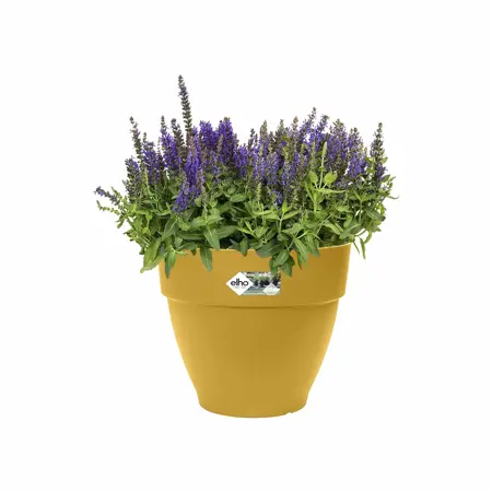 Elho Bloempot Vibia Campana rond 25cm geel - afbeelding 3