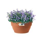 elho bloempot vibia campana schaal d27 h14cm Terra - afbeelding 5