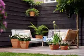 elho bloempot vibia campana schaal d27 h14cm Terra - afbeelding 3