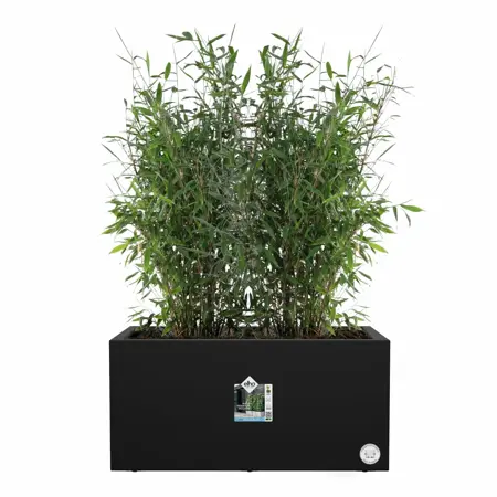 Elho Bloempot Vivo Next Lang 80cm zwart - afbeelding 3