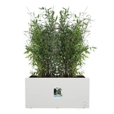 elho bloempot vivo next lang d60 h29cm Wit - afbeelding 6