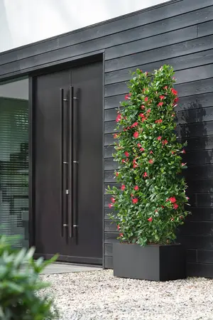 elho bloempot vivo next lang d80 h38cm Living black - afbeelding 3