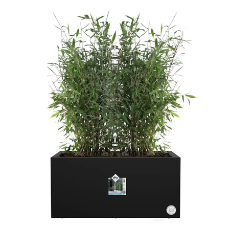 elho bloempot vivo next lang d80 h38cm Living black - afbeelding 7