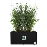 elho bloempot vivo next lang d80 h38cm Living black - afbeelding 7