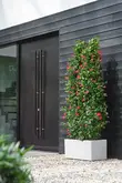 elho bloempot vivo next lang d80 h38cm Wit - afbeelding 3