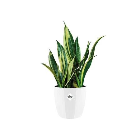 Elho brussels diamond rond 16cm wit - afbeelding 2