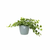 Elho Brussels Rond 14 - Groen - Ø 14 x H 13 cm - Binnen - 100% gerecycled - afbeelding 3