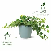 Elho brussels rond 14cm antraciet - afbeelding 3